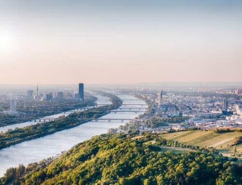 Immobilienmarkt in Österreich: Deutliche Anzeichen der Erholung