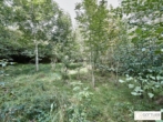 Bestlage Pressbaum! Ca. 9.000 m² unbebautes Baugrundstück mit genehmigtem Teilungsplan in Grünruhelage - Bild