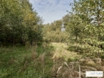 Bestlage Pressbaum! Ca. 9.000 m² unbebautes Baugrundstück mit genehmigtem Teilungsplan in Grünruhelage - Bild