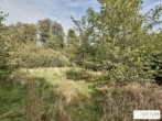 Bestlage Pressbaum! Ca. 9.000 m² unbebautes Baugrundstück mit genehmigtem Teilungsplan in Grünruhelage - Bild