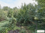 Bestlage Pressbaum! Ca. 9.000 m² unbebautes Baugrundstück mit genehmigtem Teilungsplan in Grünruhelage - Bild