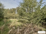 Bestlage Pressbaum! Ca. 9.000 m² unbebautes Baugrundstück mit genehmigtem Teilungsplan in Grünruhelage - Bild