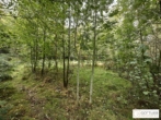 Bestlage Pressbaum! Ca. 9.000 m² unbebautes Baugrundstück mit genehmigtem Teilungsplan in Grünruhelage - Bild