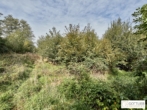 Bestlage Pressbaum! Ca. 9.000 m² unbebautes Baugrundstück mit genehmigtem Teilungsplan in Grünruhelage - Bild
