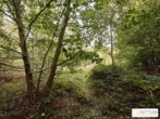 Bestlage Pressbaum! Ca. 9.000 m² unbebautes Baugrundstück mit genehmigtem Teilungsplan in Grünruhelage - Bild
