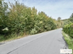 Bestlage Pressbaum! Ca. 9.000 m² unbebautes Baugrundstück mit genehmigtem Teilungsplan in Grünruhelage - Bild