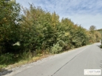 Bestlage Pressbaum! Ca. 9.000 m² unbebautes Baugrundstück mit genehmigtem Teilungsplan in Grünruhelage - Bild