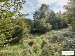 Bestlage Pressbaum! Ca. 9.000 m² unbebautes Baugrundstück mit genehmigtem Teilungsplan in Grünruhelage - Bild