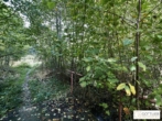 Bestlage Pressbaum! Ca. 9.000 m² unbebautes Baugrundstück mit genehmigtem Teilungsplan in Grünruhelage - Bild