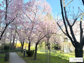 Grünruhelage nahe Glanzing! Perfekt geschnittene Dachterrassen-Studio-Wohnung mit optionalem Garagenplatz, 1190 Wien, Wohnung