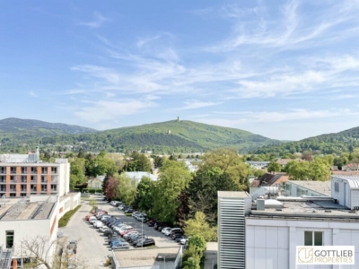 Nähe Altstadt! Bis Februar 2027 befristet vermietete Dachgeschoss-Studio-Wohnung mit Fernblick, 2500 Baden, Dachgeschoß