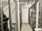 Bestlage beim Hamerlingplatz! Lichtdurchflutete 3-Zimmer-Altbau-Wohnung in saniertem Vorstadthaus inklusive zwei Garagenplätze - Bild